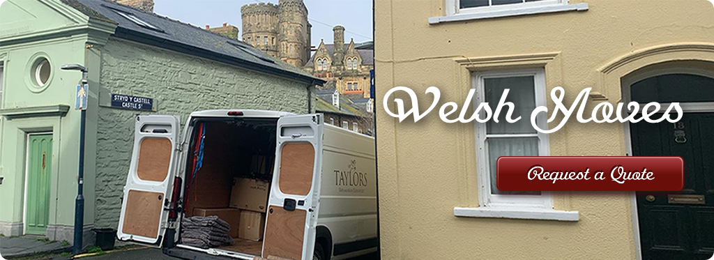 Removals Wales - Small van and man in Wales image